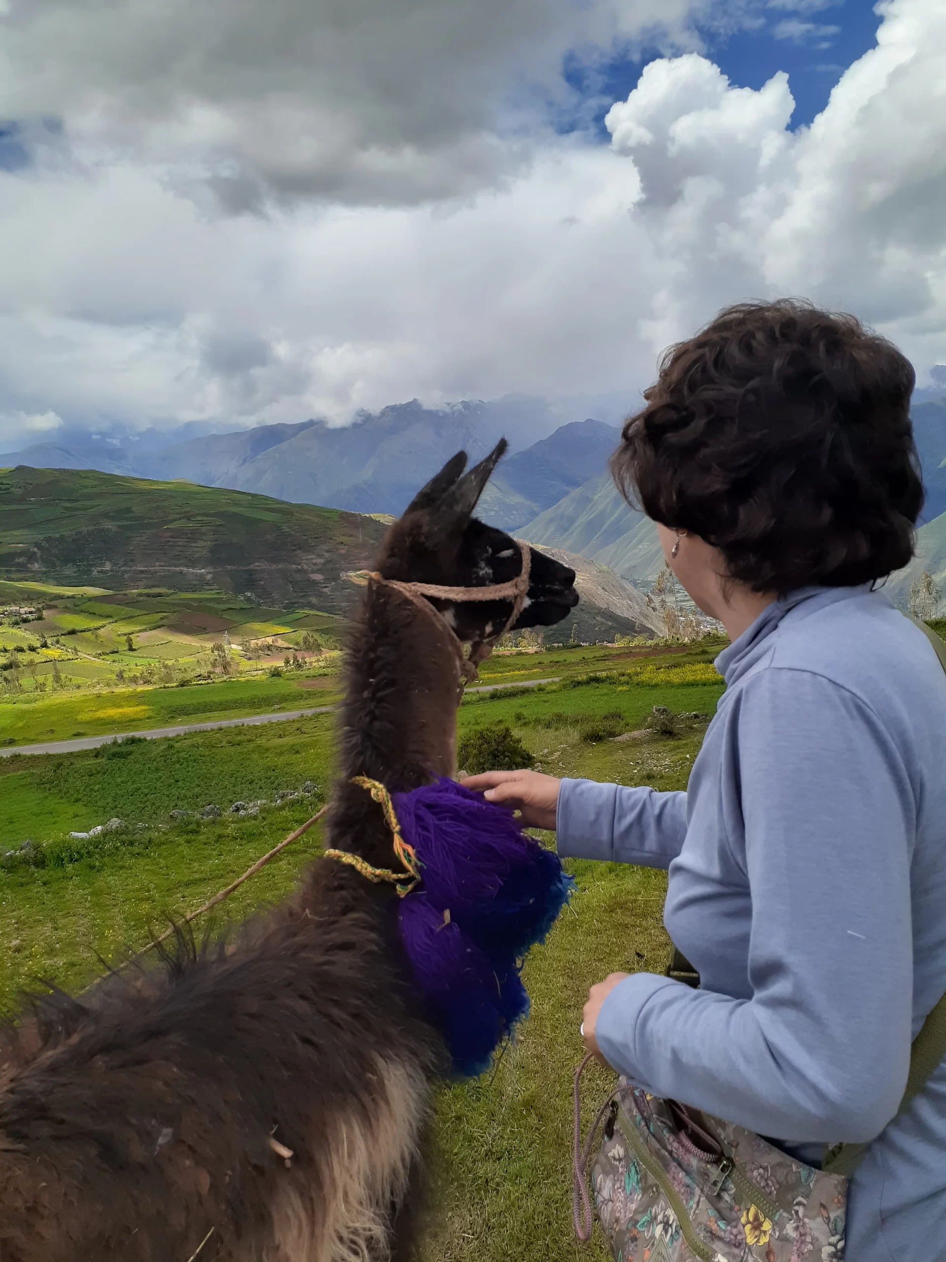 machu picchu train 2d 1n