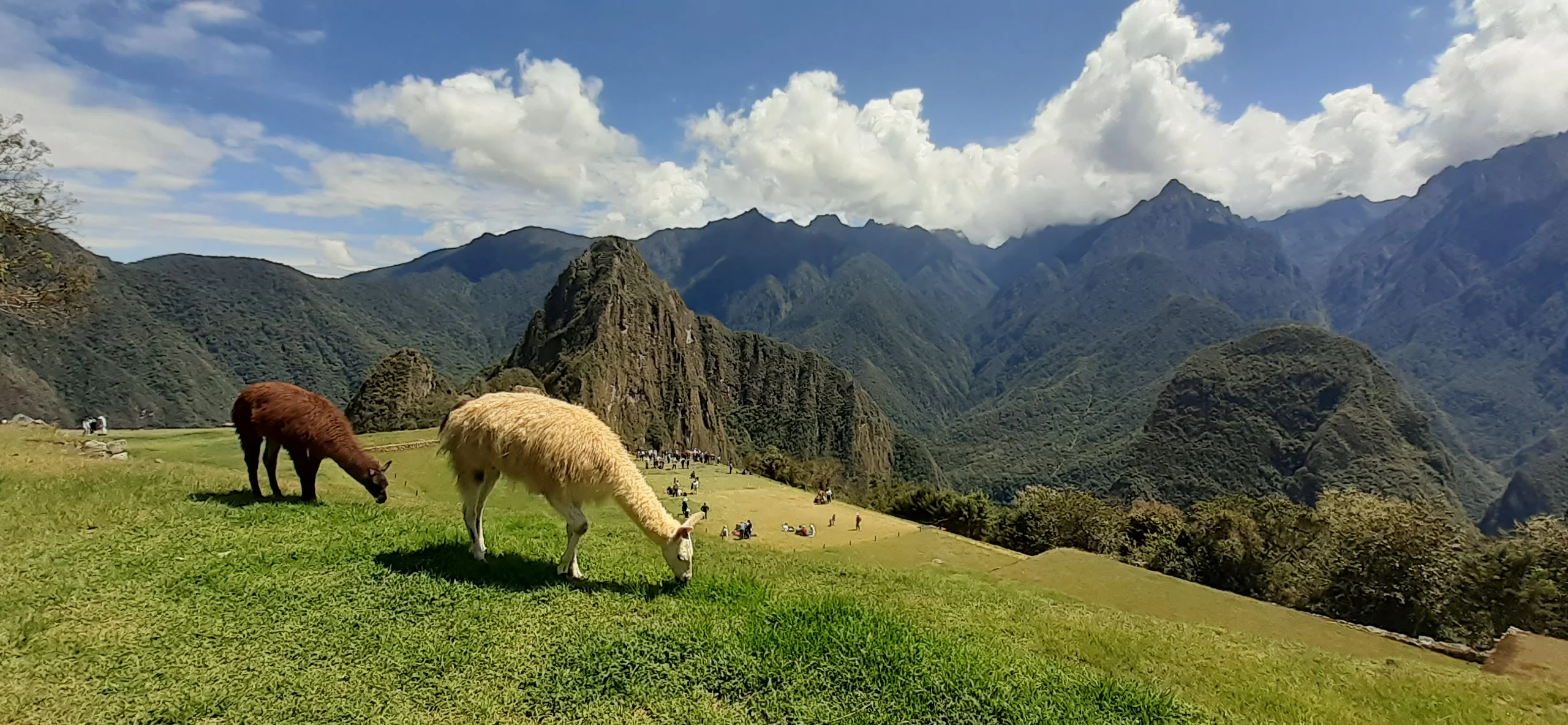 Machu picchu by train full day tour