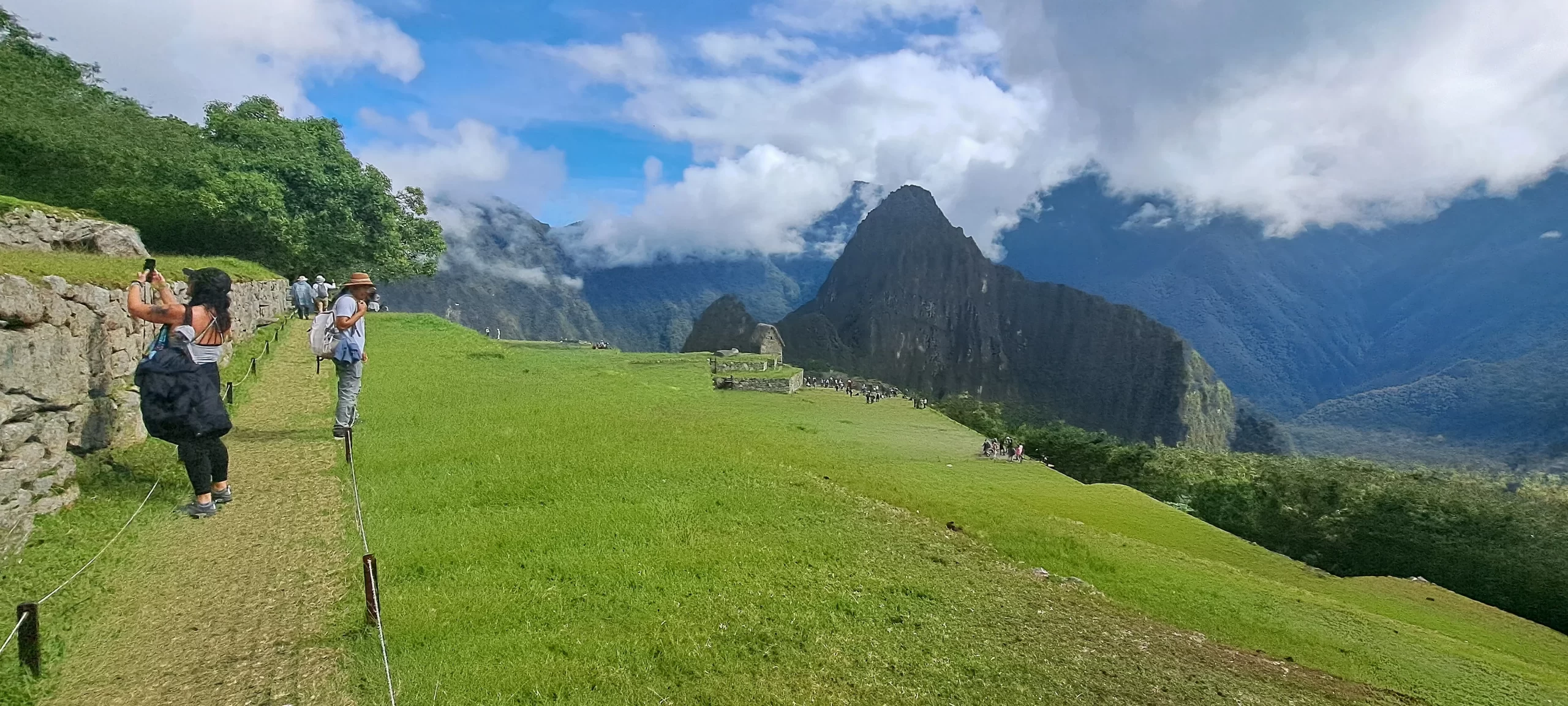 TERMS AND CONDITIONS