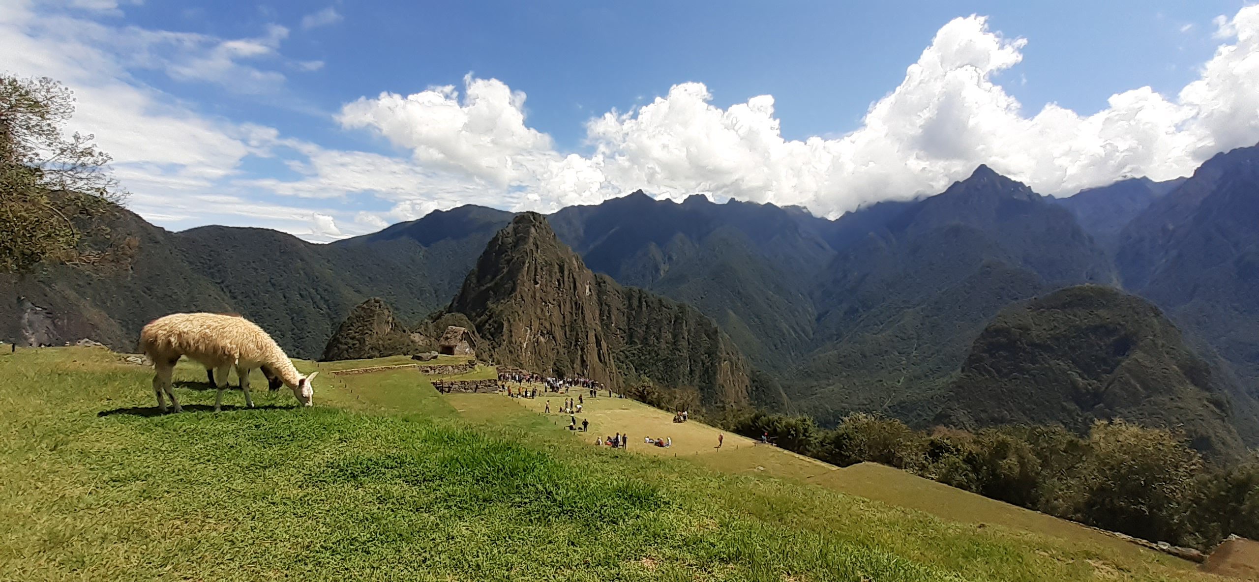 cusco discovery